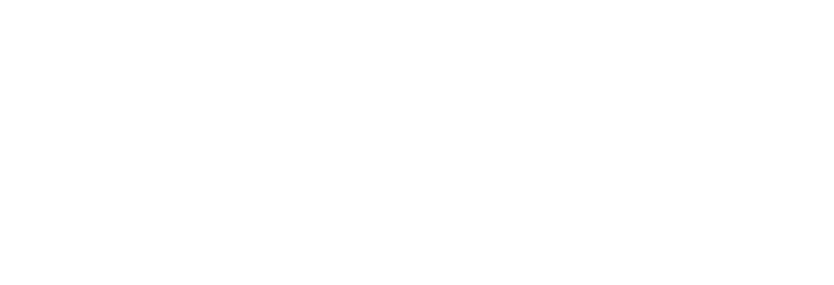 Zara Computers Logo